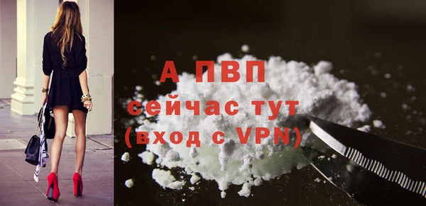 стафф Михайловка