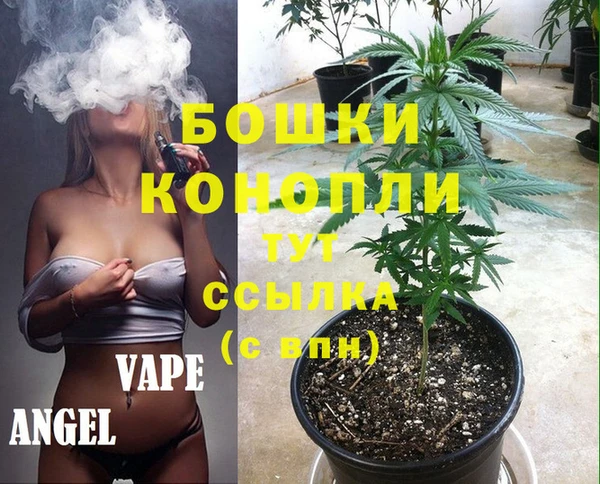 мяу мяу мука Медвежьегорск