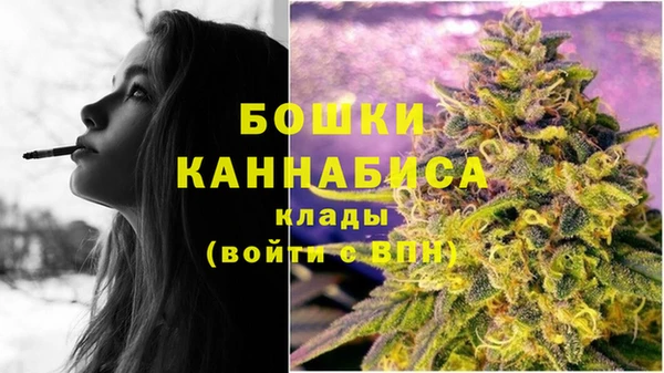прущие грибы Одинцово
