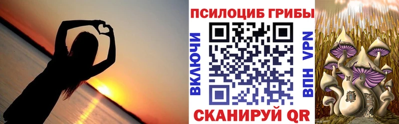 закладка  Шарыпово  Псилоцибиновые грибы мицелий 